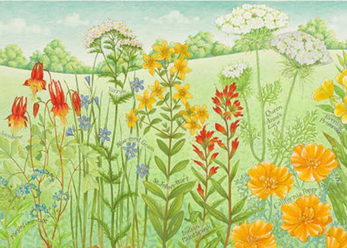 Wildflowers Greeting Card featuring the painting Wildflower Gardening by Lynn Bywaters