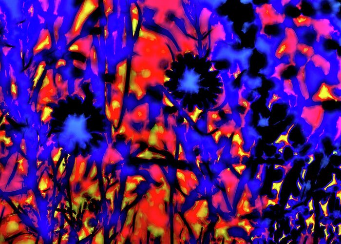 Abstract Greeting Card featuring the photograph Wildflower Medley by Gina O'Brien
