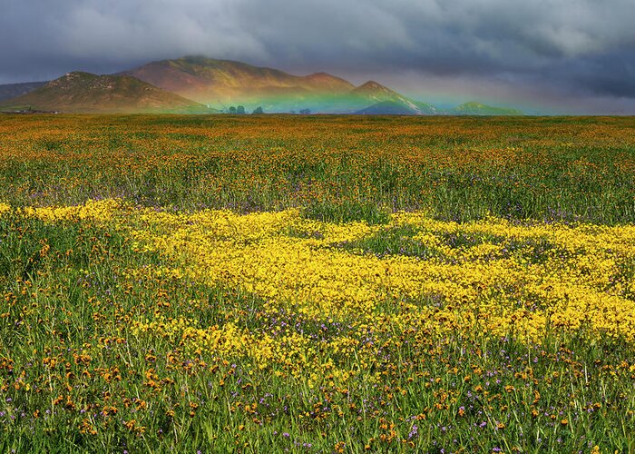 Carrizo Greeting Card featuring the photograph Wildflowers and Rainbow on the Carrizo Plain by Rick Pisio