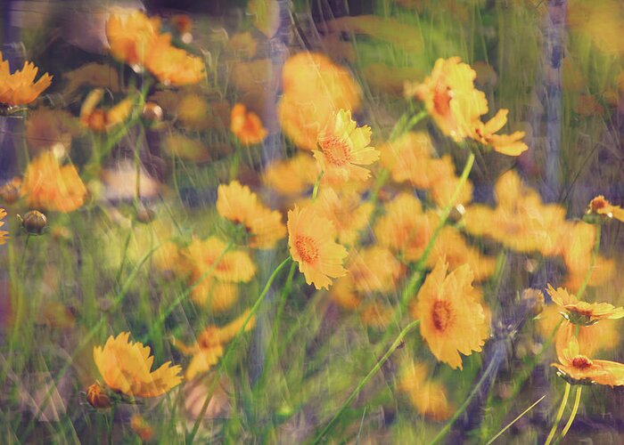 Wildflowers Greeting Card featuring the photograph Wildflowers in the Wind by Toni Hopper