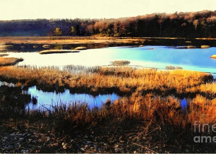 Marsh Greeting Card featuring the photograph Wildlife Preserve by Janine Riley