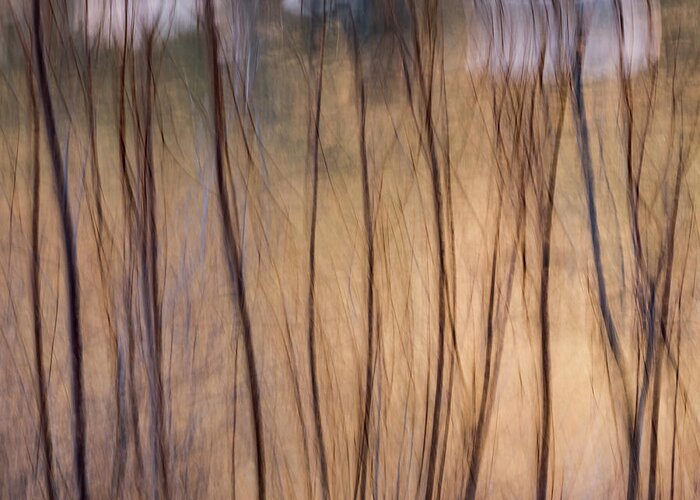 Abstract Greeting Card featuring the photograph Willows In Winter by Deborah Hughes