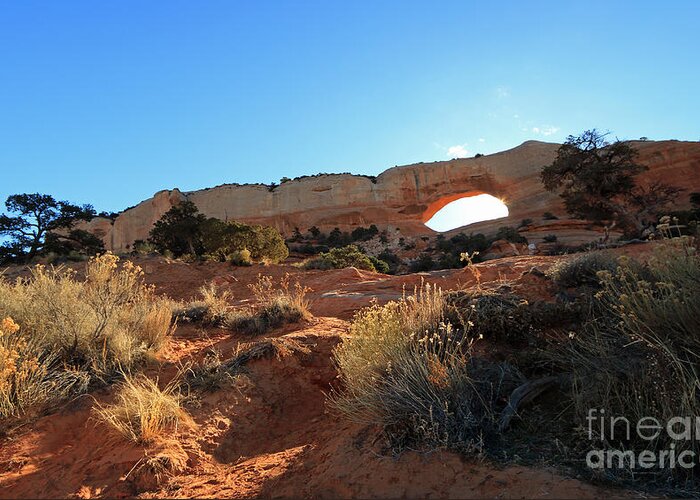 Landscape Greeting Card featuring the photograph Wilson Arch by Mary Haber