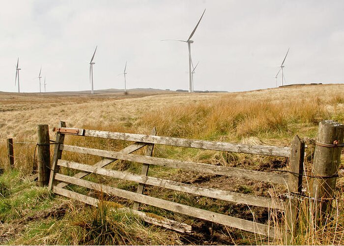 Wind Farm Greeting Card featuring the photograph Wind farm on Miller's moss. by Elena Perelman