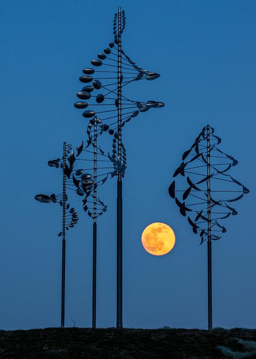 Landscape Greeting Card featuring the photograph Wind Sculptures at Wilkeson Pointe by Chris Bordeleau