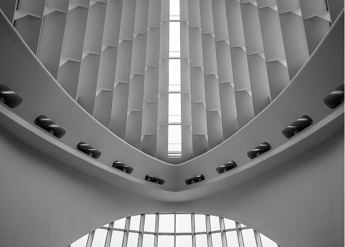 Milwaukee Art Museum Greeting Card featuring the photograph Windhover #2 by John Roach