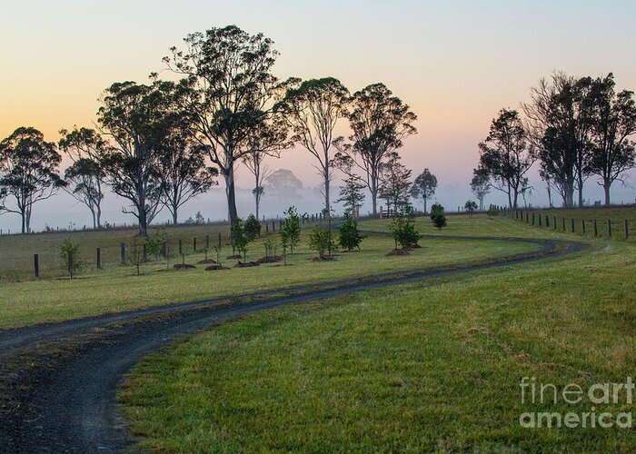 Winding Road Greeting Card featuring the photograph Winding road through paddock at dawn by Sheila Smart Fine Art Photography