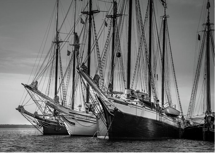 Windjammers Greeting Card featuring the photograph Windjammer Fleet by Fred LeBlanc