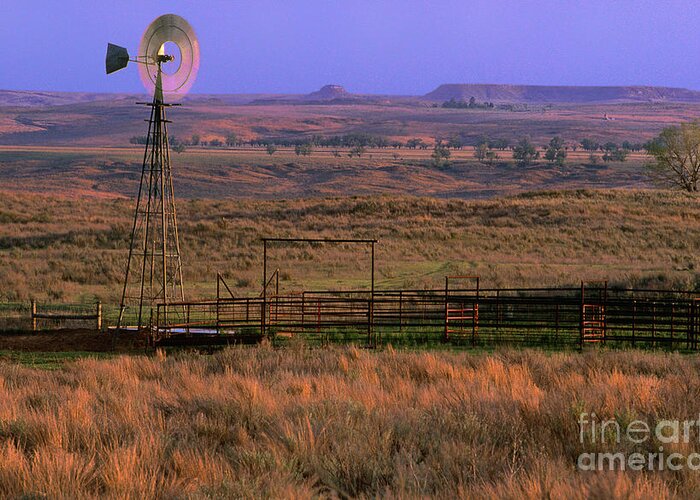 Dave Welling Greeting Card featuring the photograph Windmill Cattle Fencing Texas Panhandle by Dave Welling