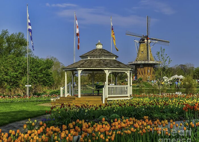 Holland Greeting Card featuring the photograph Windmill Island Gardens by Nick Zelinsky Jr