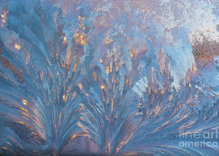 Cheryl Baxter Photography Greeting Card featuring the photograph Window Frost At Sunset by Cheryl Baxter
