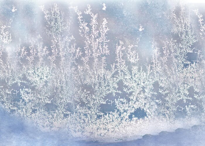 Frost Print Greeting Card featuring the photograph Window Frost Print by Gwen Gibson