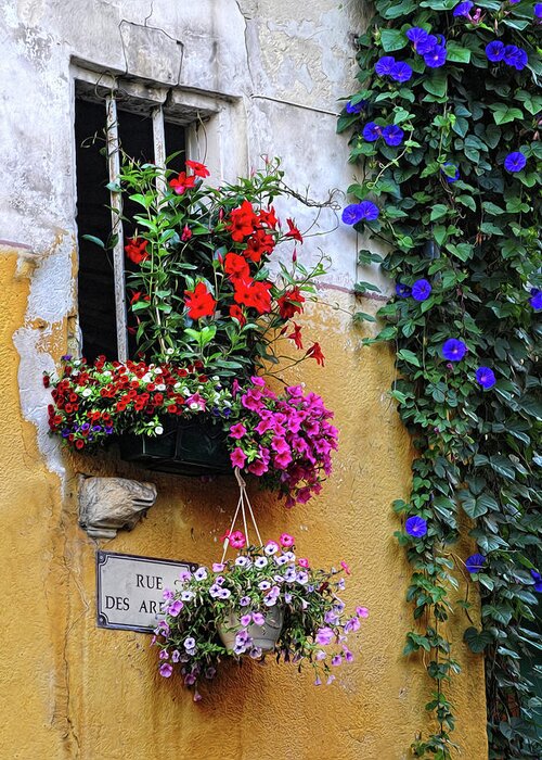 Flowers Greeting Card featuring the photograph Window Garden in Arles France by Dave Mills