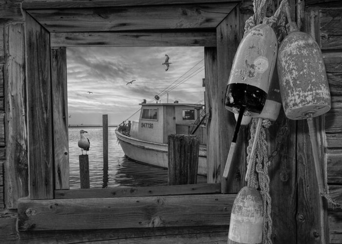 Coast Greeting Card featuring the photograph Window View of Early Morning Harbor by Randall Nyhof