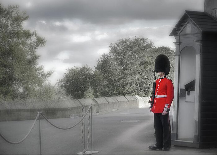 Royal Guard Greeting Card featuring the photograph Windsor Castle Guard by Joe Winkler