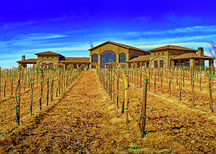 Farm Greeting Card featuring the photograph Winery Farm by Joseph Hollingsworth