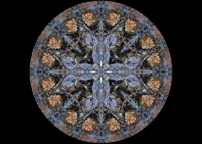 Mandala Greeting Card featuring the digital art Winged Creatures in a Star Kaleidoscope #3 by Julia L Wright