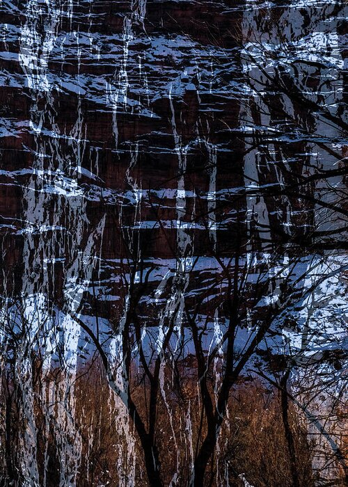 Multiple Exposure Greeting Card featuring the photograph Winter Abstract by Deborah Hughes