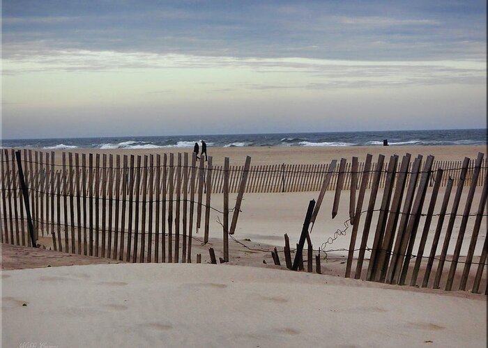 Winter Greeting Card featuring the photograph Winter at the beach by Mikki Cucuzzo