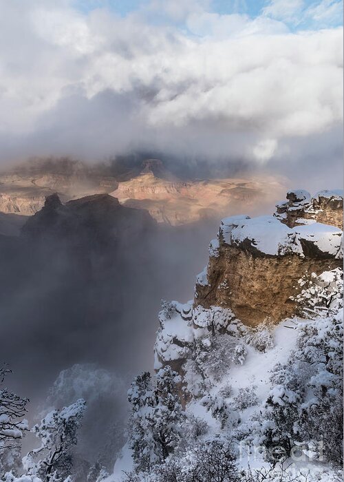 Sandra Bronstein Greeting Card featuring the photograph Winter At The Grand Canyon by Sandra Bronstein
