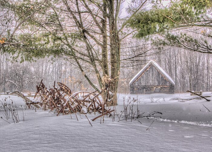 Winter Greeting Card featuring the photograph Winter at the Woods by Rod Best