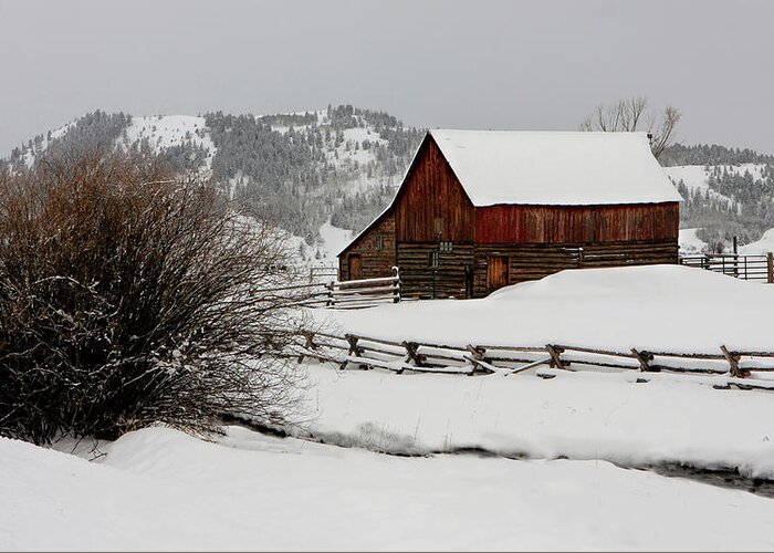 Barn Greeting Card featuring the photograph Winter Barn by Ronnie And Frances Howard