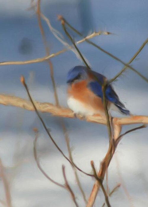 Bluebird Greeting Card featuring the painting Winter Bluebird Nature Art by Smilin Eyes Treasures