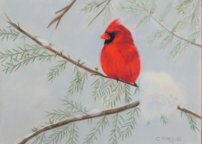 Bird Greeting Card featuring the pastel Winter Cardinal by Carol Corliss