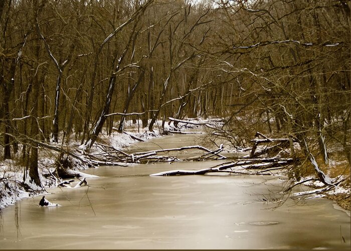 Creek Greeting Card featuring the photograph Winter Creek by Bonnie Willis
