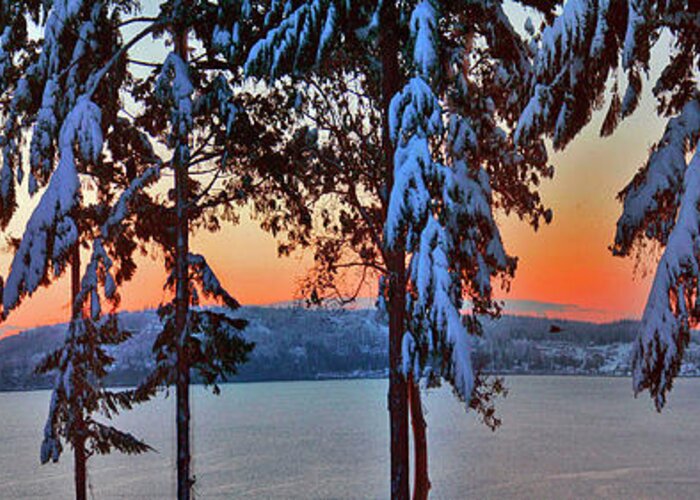 Winter Sunrise Greeting Card featuring the photograph Winter Drama Sunrise Panorama by Mary Gaines