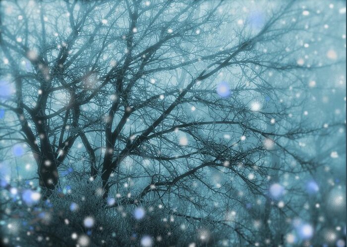 Snowfall Greeting Card featuring the digital art Winter Evening Snowfall by Mary Wolf