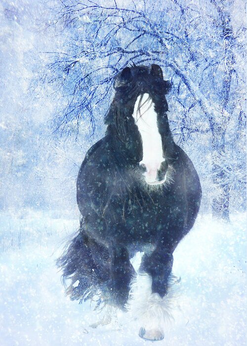 Horses Photographs Photographs Greeting Card featuring the photograph Winter Faith by Jamie Mammano