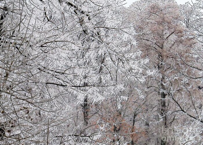 Winter Fantasy Tree Trees Forest Photo Photograph Photographic A An The Craig Walters Art Artist Artistic Ice Snow Hoarfrost Greeting Card featuring the digital art Winter Fantasy by Craig Walters