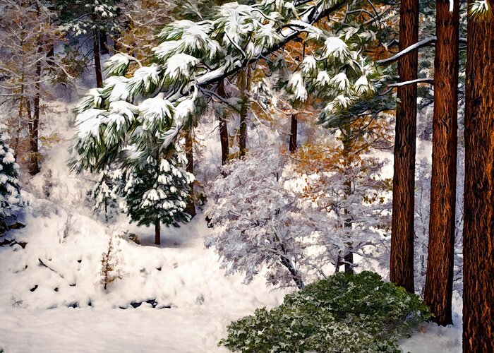 Background Greeting Card featuring the photograph Winter Forest by Maria Coulson