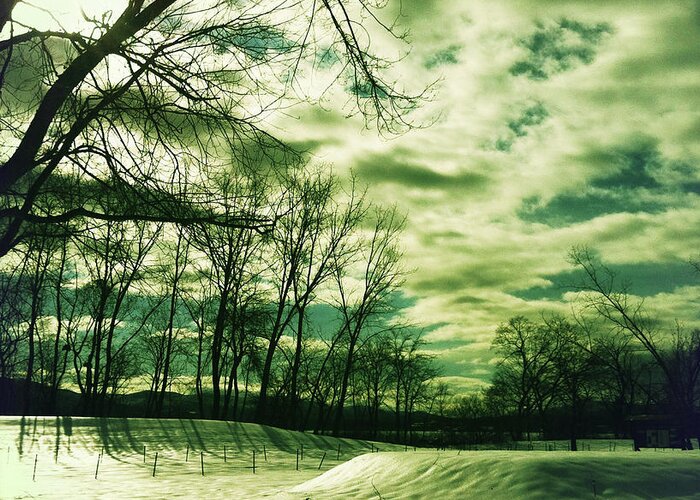 Landscape Greeting Card featuring the photograph Winter Green by Onedayoneimage Photography