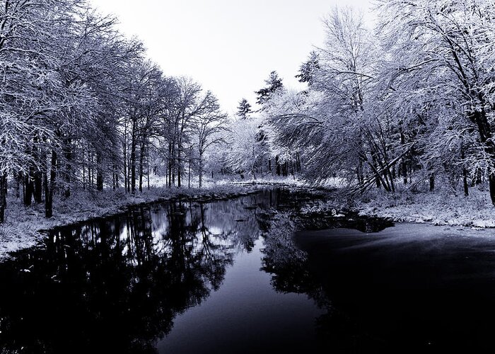 Winter Greeting Card featuring the photograph Winter Landscape by Edward Myers