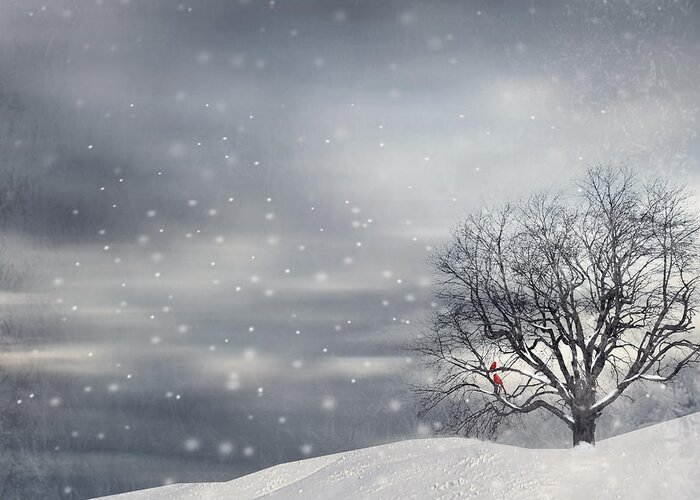 Four Seasons Greeting Card featuring the photograph Winter by Lourry Legarde