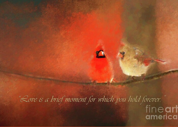 Love Birds Greeting Card featuring the photograph Winter Love2 by Darren Fisher