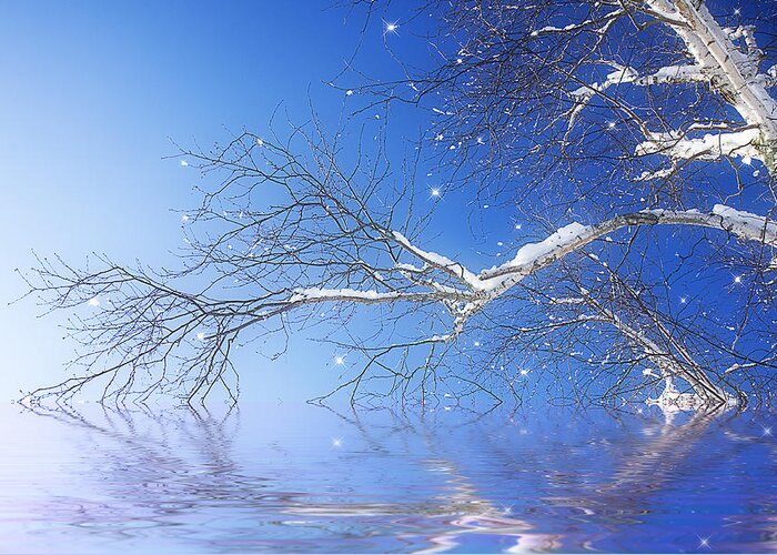 Birch Greeting Card featuring the photograph Winter Magic by Trudy Wilkerson