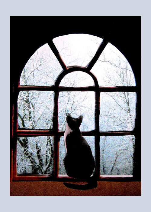 Cats In Windows Greeting Card featuring the photograph Winter Musing by Angela Davies