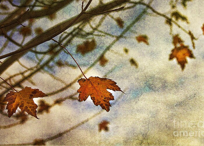 Leaves Greeting Card featuring the photograph Winter On The Way by Rebecca Cozart