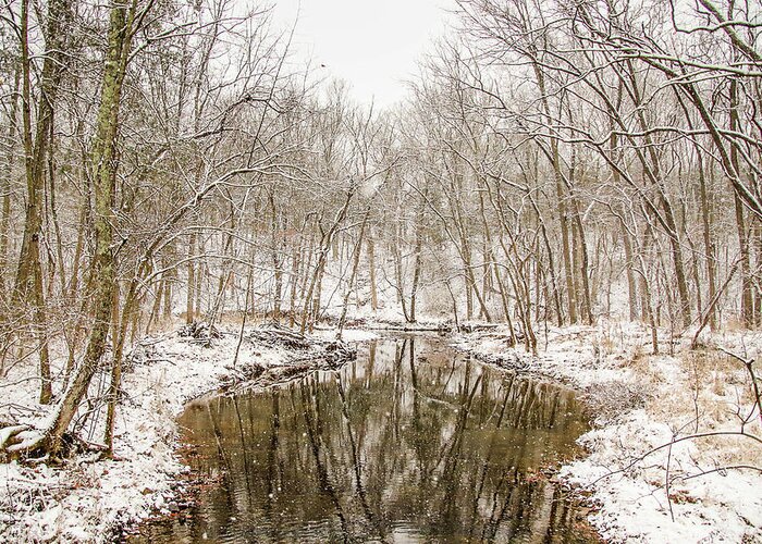 Snow Greeting Card featuring the photograph Winter Reflections by Susan Grove