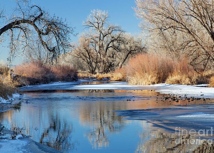Cache La Poudre River Greeting Card featuring the photograph winter river in Colorado by Marek Uliasz