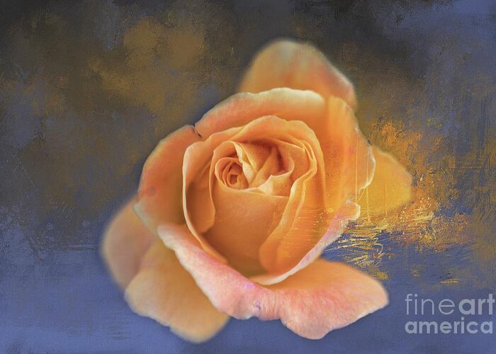 Rose Greeting Card featuring the photograph Winter Rose by Eva Lechner