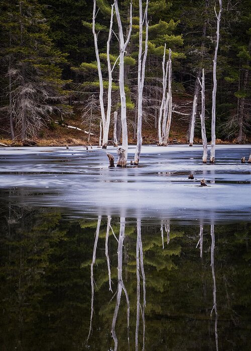 Marlboro Greeting Card featuring the photograph Winter Thaw Relections by Tom Singleton