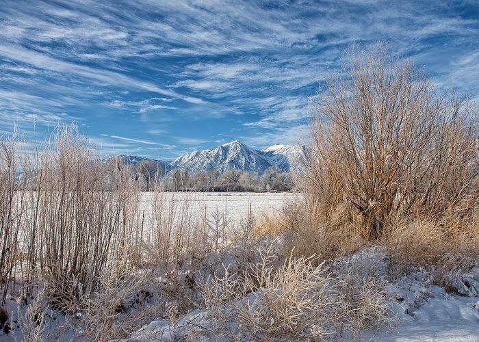 Mountains Greeting Card featuring the photograph Winter View of Jobes Peak - Gardnerville - Nevada by Bruce Friedman