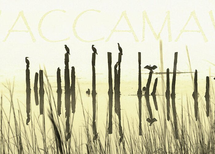 Nature Greeting Card featuring the digital art Winter Waccamaw Mist by Deborah Smith
