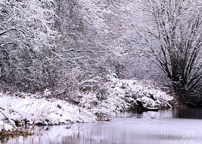 Landscape Greeting Card featuring the photograph Winters First Icy breath by Stephen Melia