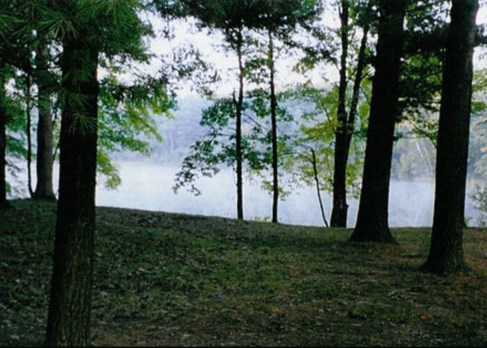 Forest Greeting Card featuring the photograph Within Sight Of A Lake by Tom Hefko