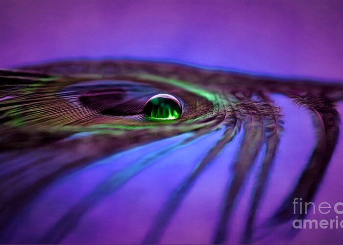 Peacock Feather Greeting Card featuring the photograph Within This Magical Drop by Krissy Katsimbras